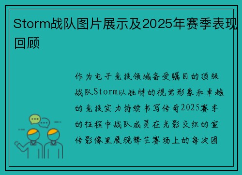 Storm战队图片展示及2025年赛季表现回顾