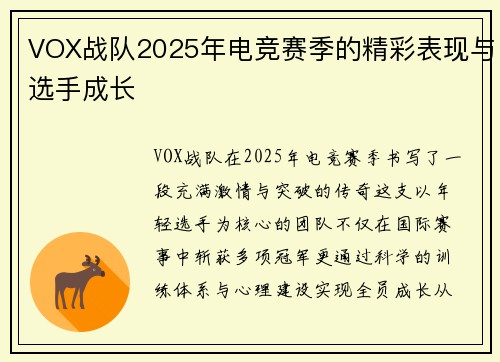 VOX战队2025年电竞赛季的精彩表现与选手成长